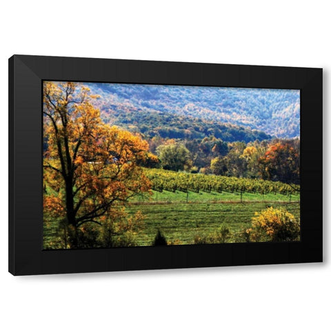 Autumn Foothills II Black Modern Wood Framed Art Print by Hausenflock, Alan