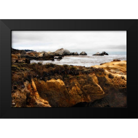 Sand Hill Cove IV Black Modern Wood Framed Art Print by Hausenflock, Alan