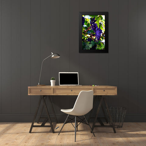 Grapes II Black Modern Wood Framed Art Print by Hausenflock, Alan