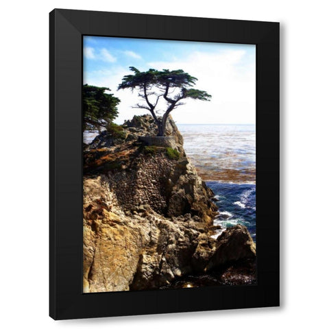 Lone Cypress I Black Modern Wood Framed Art Print by Hausenflock, Alan