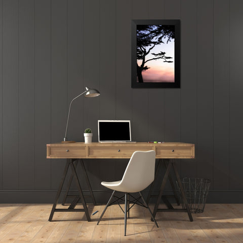 Cypress Silhouette IV Black Modern Wood Framed Art Print by Hausenflock, Alan