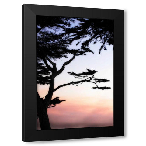 Cypress Silhouette IV Black Modern Wood Framed Art Print by Hausenflock, Alan