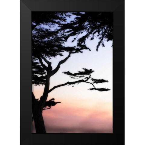 Cypress Silhouette IV Black Modern Wood Framed Art Print by Hausenflock, Alan