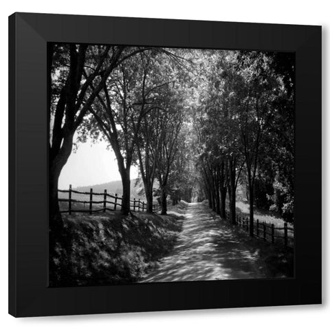 Ash Lawn Square I Black Modern Wood Framed Art Print with Double Matting by Hausenflock, Alan