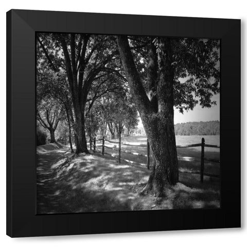 Summer Stroll Square II Black Modern Wood Framed Art Print with Double Matting by Hausenflock, Alan