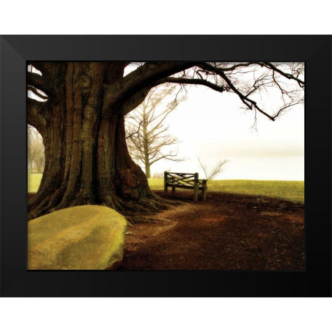 Fog on the James I Black Modern Wood Framed Art Print by Hausenflock, Alan