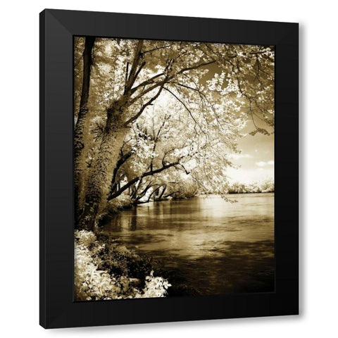 Spring on the River I Black Modern Wood Framed Art Print with Double Matting by Hausenflock, Alan
