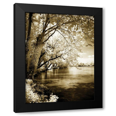 Spring on the River I Black Modern Wood Framed Art Print by Hausenflock, Alan