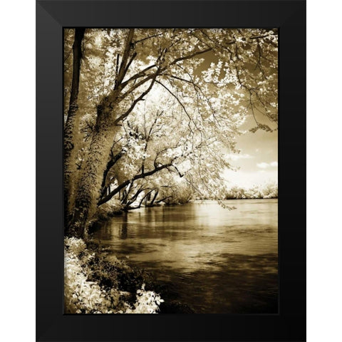 Spring on the River I Black Modern Wood Framed Art Print by Hausenflock, Alan