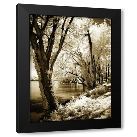 Spring on the River II Black Modern Wood Framed Art Print with Double Matting by Hausenflock, Alan