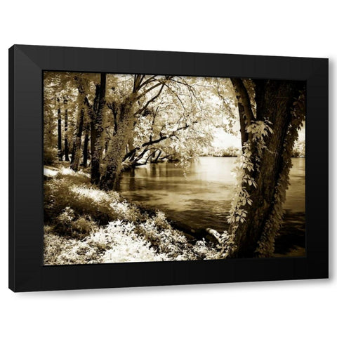 Spring on the River III Black Modern Wood Framed Art Print with Double Matting by Hausenflock, Alan