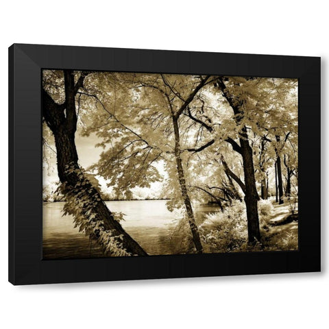 Spring on the River IV Black Modern Wood Framed Art Print with Double Matting by Hausenflock, Alan