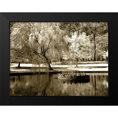 Bryan Pond I Black Modern Wood Framed Art Print by Hausenflock, Alan