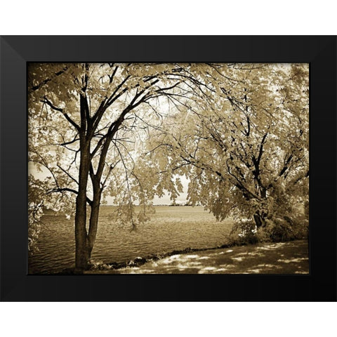 Hopewell Shores I Black Modern Wood Framed Art Print by Hausenflock, Alan