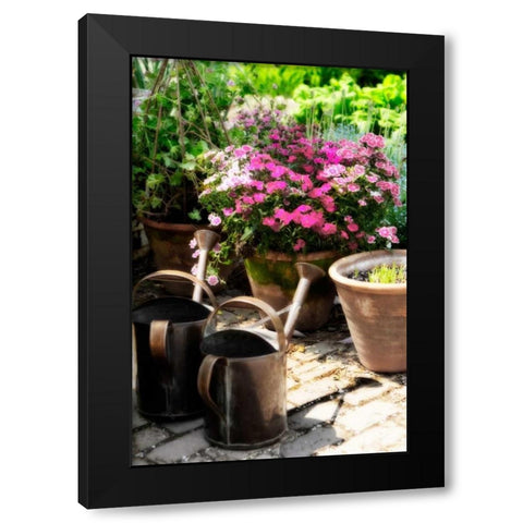 The Garden Nook III Black Modern Wood Framed Art Print by Hausenflock, Alan