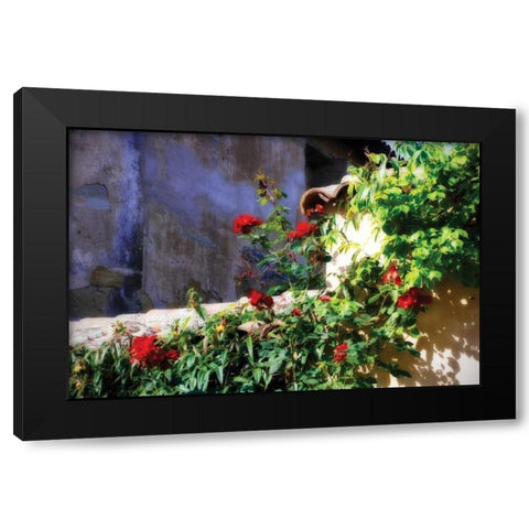 Flowers on a Mission Wall III Black Modern Wood Framed Art Print with Double Matting by Hausenflock, Alan