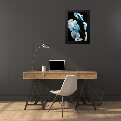 Blue Moth Orchids II Black Modern Wood Framed Art Print by Hausenflock, Alan