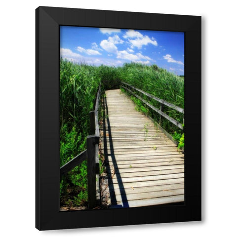 Wetland Walkway I Black Modern Wood Framed Art Print by Hausenflock, Alan