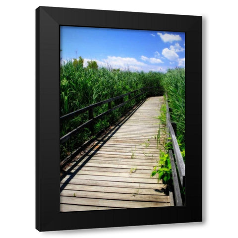 Wetland Walkway II Black Modern Wood Framed Art Print with Double Matting by Hausenflock, Alan