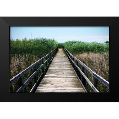 Wetland Walkway III Black Modern Wood Framed Art Print by Hausenflock, Alan