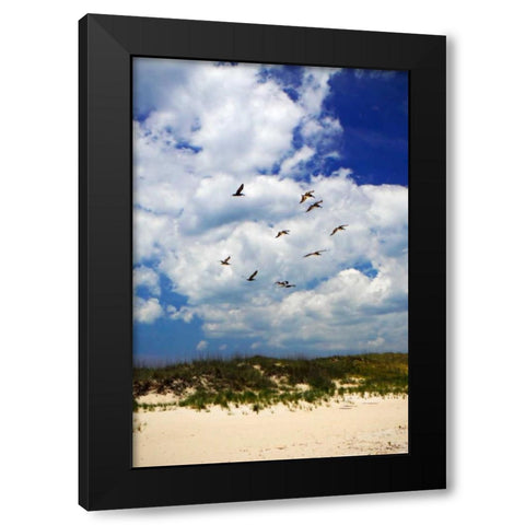 Pelicans over the Dunes VI Black Modern Wood Framed Art Print by Hausenflock, Alan