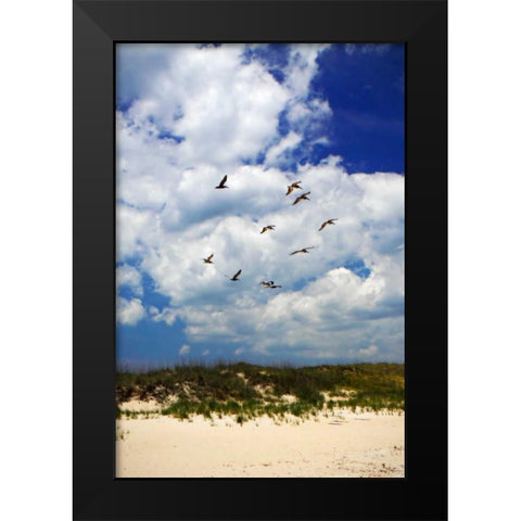 Pelicans over the Dunes VI Black Modern Wood Framed Art Print by Hausenflock, Alan