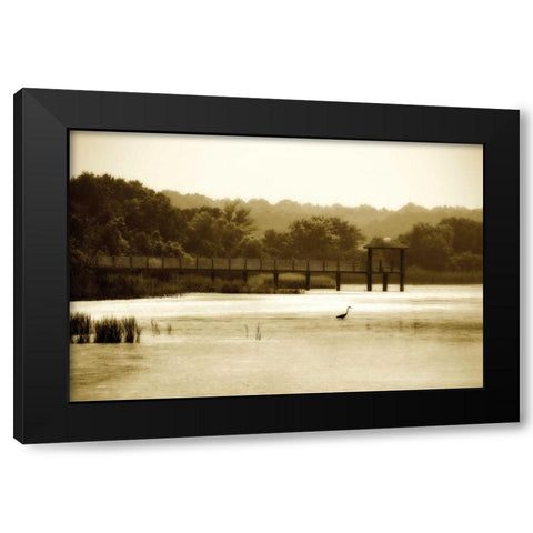 Lagoon I Black Modern Wood Framed Art Print with Double Matting by Hausenflock, Alan