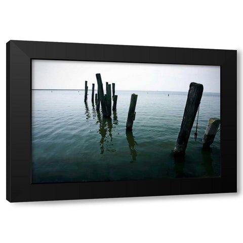 Pilings I Black Modern Wood Framed Art Print by Hausenflock, Alan