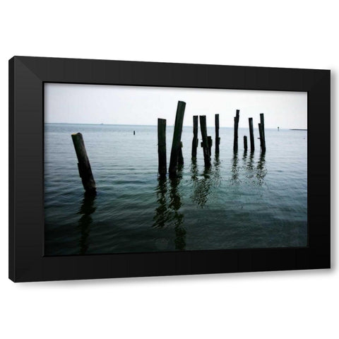 Pilings II Black Modern Wood Framed Art Print with Double Matting by Hausenflock, Alan