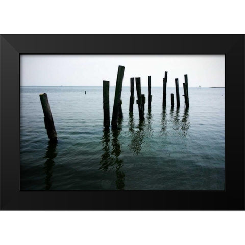 Pilings II Black Modern Wood Framed Art Print by Hausenflock, Alan