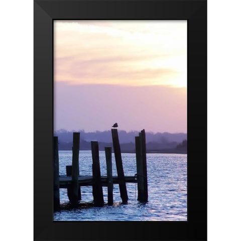 Seagulls at Sunset Black Modern Wood Framed Art Print by Hausenflock, Alan