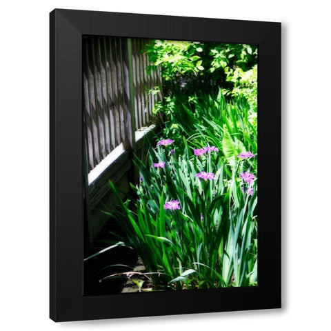 Spring Iris II Black Modern Wood Framed Art Print by Hausenflock, Alan