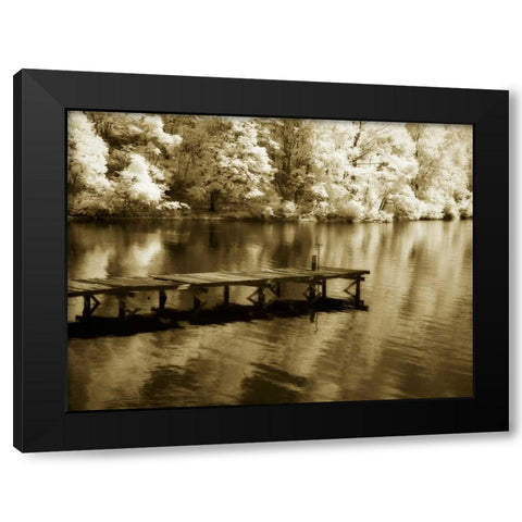 Mint Springs Lake III Black Modern Wood Framed Art Print with Double Matting by Hausenflock, Alan