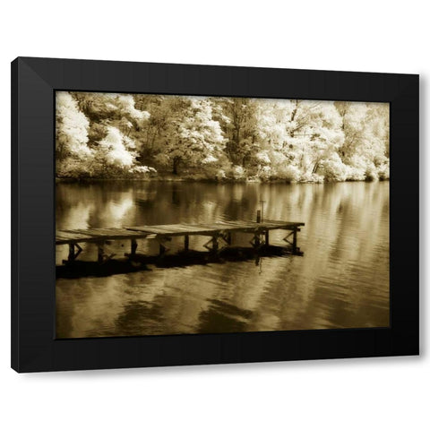 Mint Springs Lake III Black Modern Wood Framed Art Print by Hausenflock, Alan