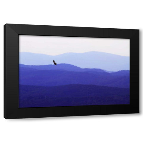 Blue Ridge II Black Modern Wood Framed Art Print with Double Matting by Hausenflock, Alan