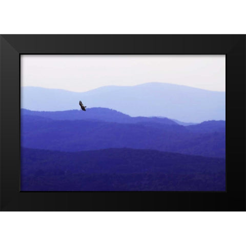 Blue Ridge II Black Modern Wood Framed Art Print by Hausenflock, Alan