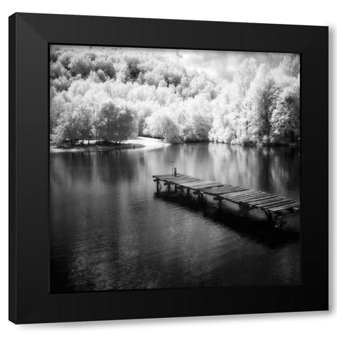 Mint Springs Lake Square IV Black Modern Wood Framed Art Print with Double Matting by Hausenflock, Alan