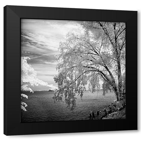 Hopewell Shores Square II Black Modern Wood Framed Art Print with Double Matting by Hausenflock, Alan