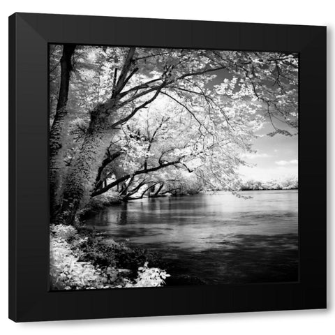 Spring on the River Square I Black Modern Wood Framed Art Print with Double Matting by Hausenflock, Alan