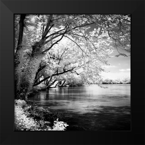 Spring on the River Square I Black Modern Wood Framed Art Print by Hausenflock, Alan