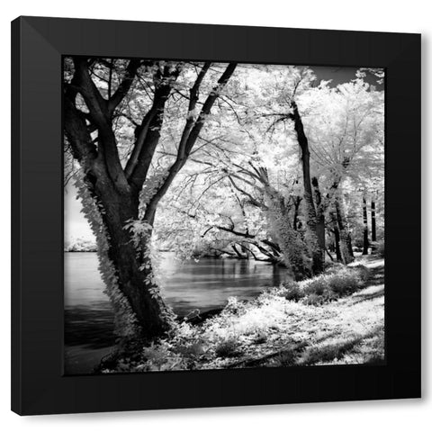 Spring on the River Square II Black Modern Wood Framed Art Print by Hausenflock, Alan