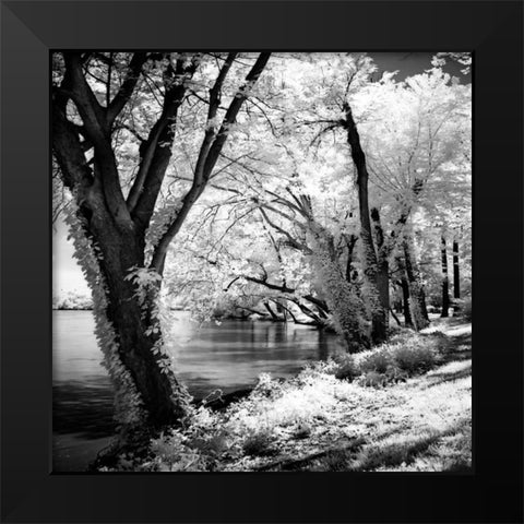 Spring on the River Square II Black Modern Wood Framed Art Print by Hausenflock, Alan