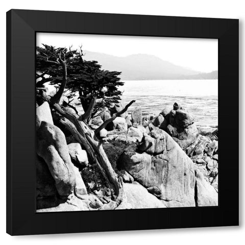 Ocean Cliff Square II Black Modern Wood Framed Art Print with Double Matting by Hausenflock, Alan