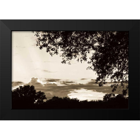 Sunset through Trees I Black Modern Wood Framed Art Print by Hausenflock, Alan