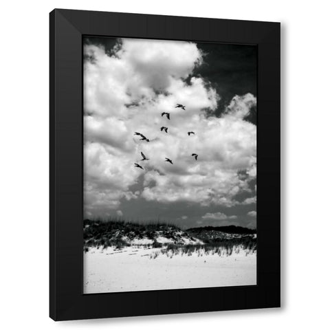 Pelicans over Dunes V Black Modern Wood Framed Art Print by Hausenflock, Alan