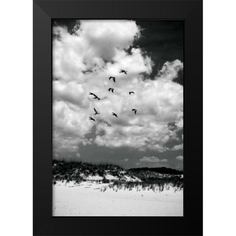 Pelicans over Dunes V Black Modern Wood Framed Art Print by Hausenflock, Alan