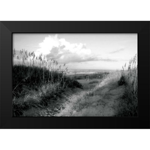 Dunes I Black Modern Wood Framed Art Print by Hausenflock, Alan