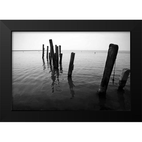 Pilings I Black Modern Wood Framed Art Print by Hausenflock, Alan