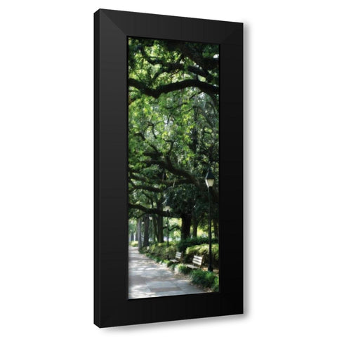 Savannah Sidewalk Panel I Black Modern Wood Framed Art Print with Double Matting by Hausenflock, Alan