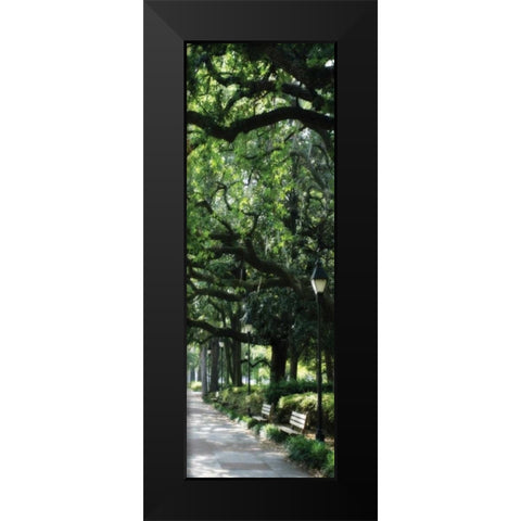 Savannah Sidewalk Panel I Black Modern Wood Framed Art Print by Hausenflock, Alan